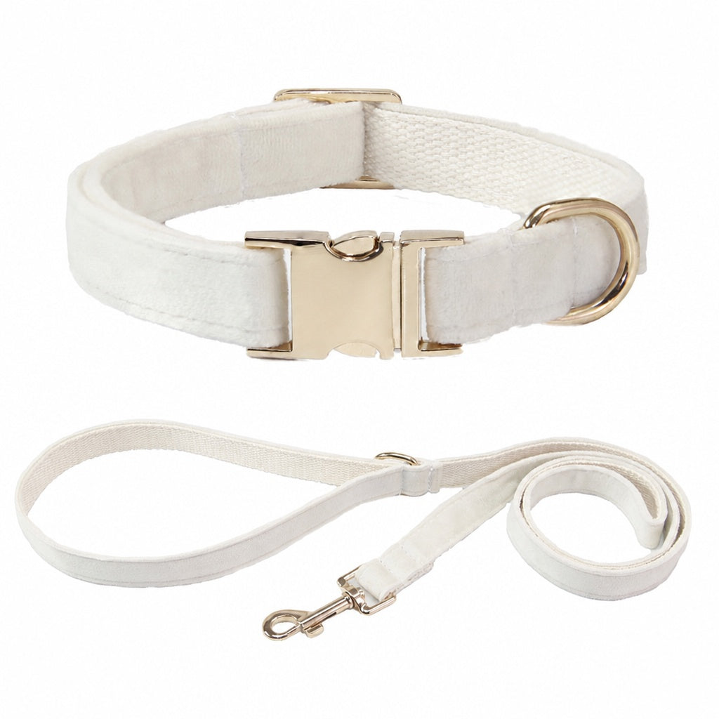 Custom Pet Collar - Laser Engraved Velvet Collar - fixed view 6