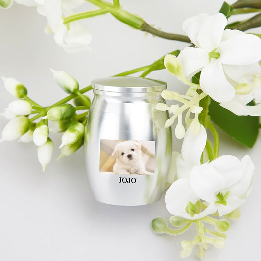 Stainless Steel Pet Urn - Custom UV Printed Keepsake Urn for Ashes - view 1