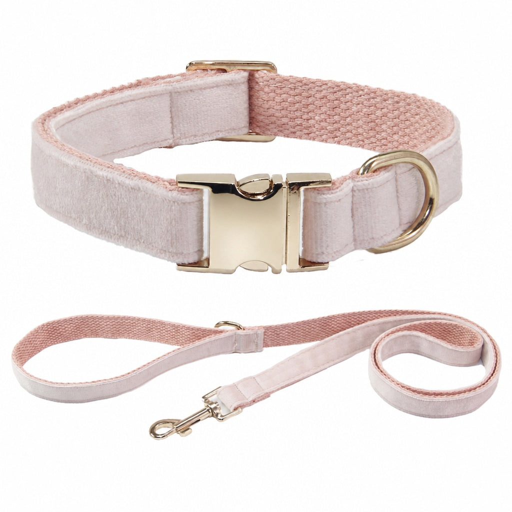 Custom Pet Collar - Laser Engraved Velvet Collar - fixed view 2