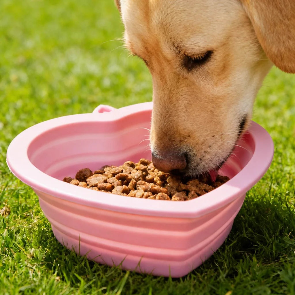 Portable silicone collapsible pet bowl with dog