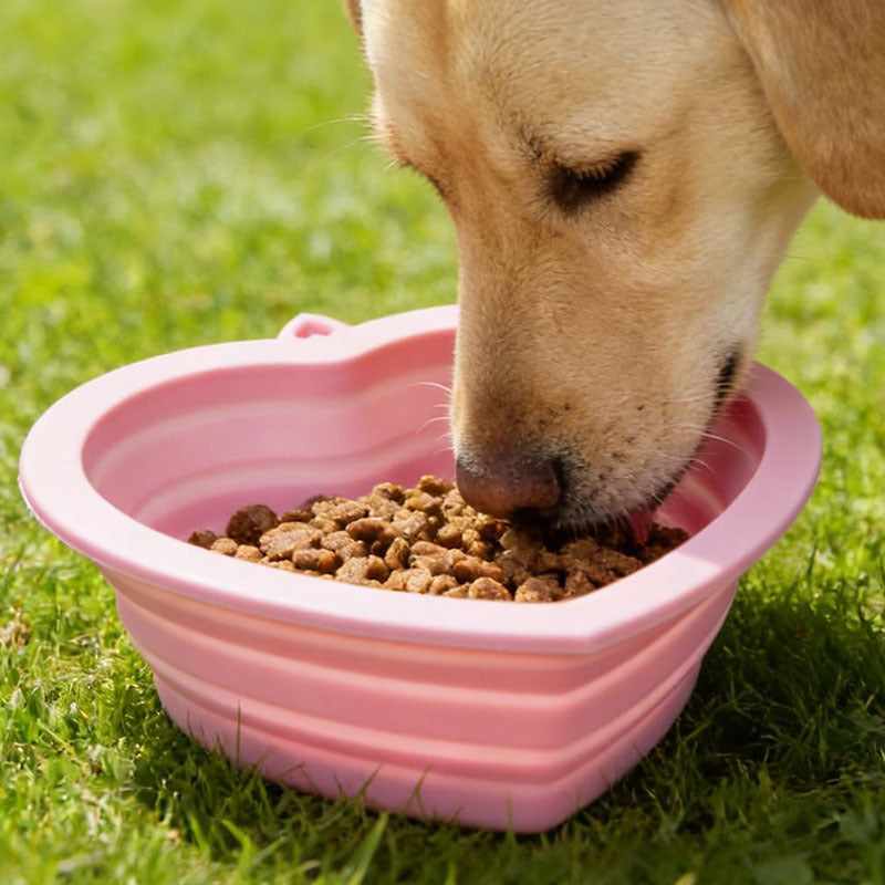 Pink collapsible pet bowl in use